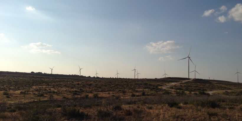 Hill with blue sky dotted with wind turbines on the horizon.