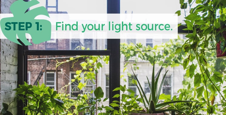 Step 1: Find your light source