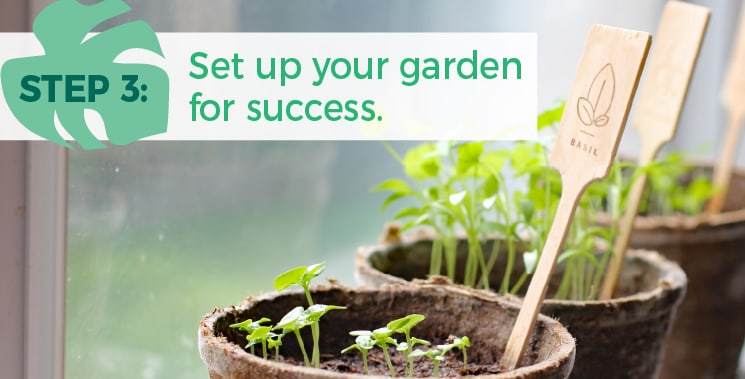 Step 3: Setup your garden for success