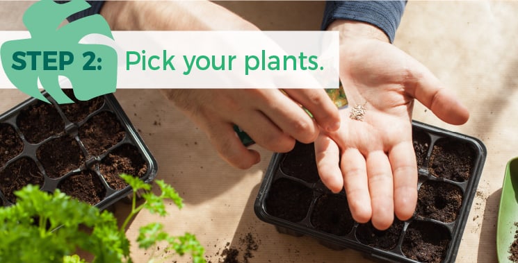Step 2: Pick your plants