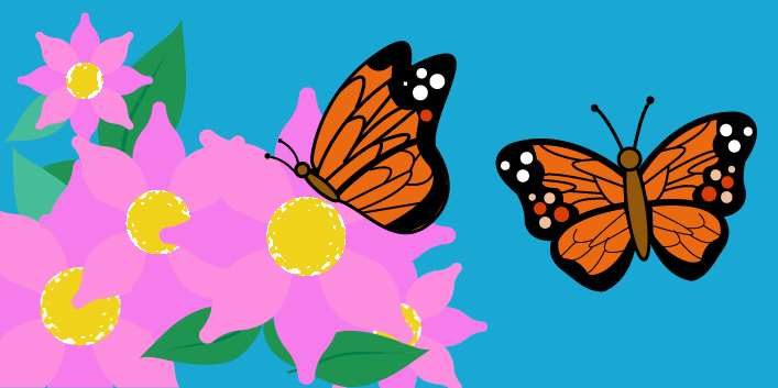 Butterflies flying around and landing on pink flowers.