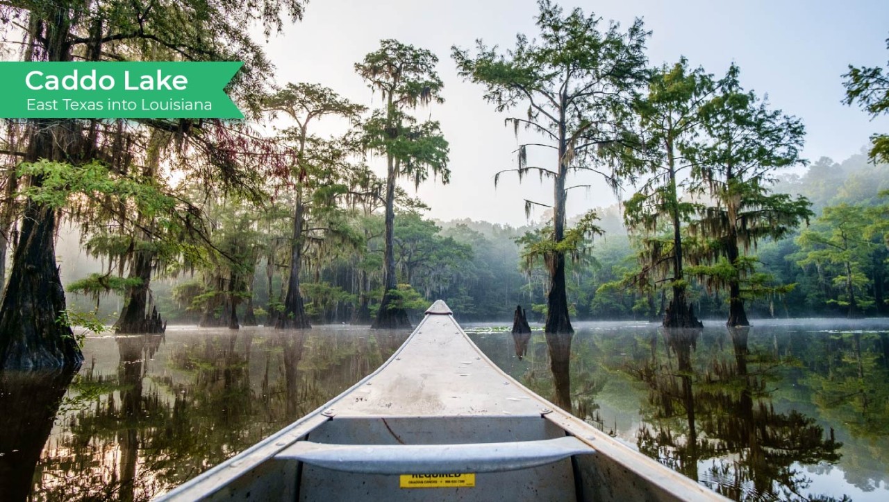 Caddo Lake - East Teaxs into Louisiana