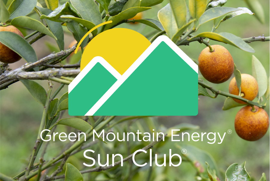 sun club logo on a nature background