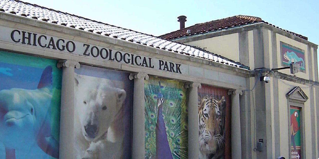 Brookfiled-zoo